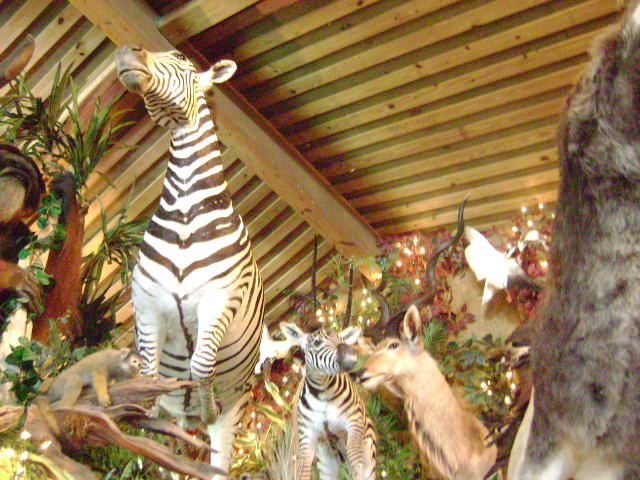 Clark's 4-20-08 011.jpg